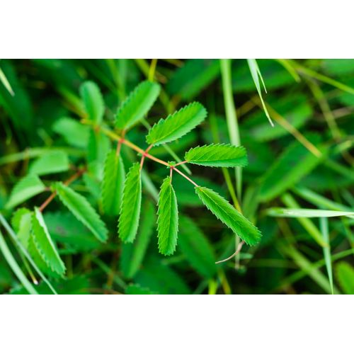 Foto: Julian Denstorf