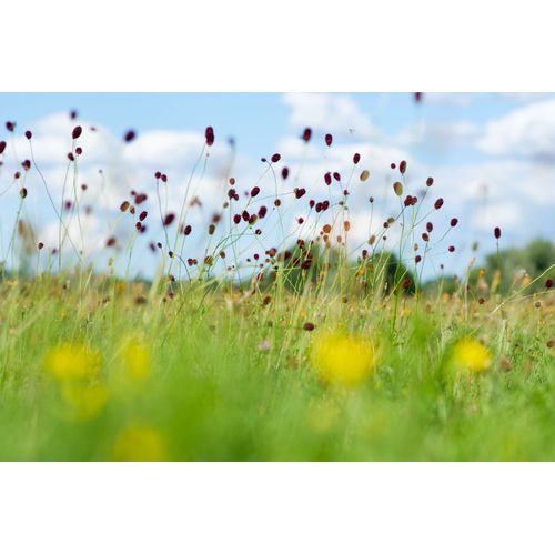 Foto: Julian Denstorf