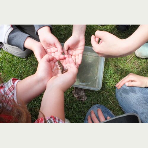 Naturentdecker_Loki Schmidt Stiftung.JPG