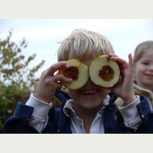 Naturerleben_Loki Schmidt Stiftung.JPG