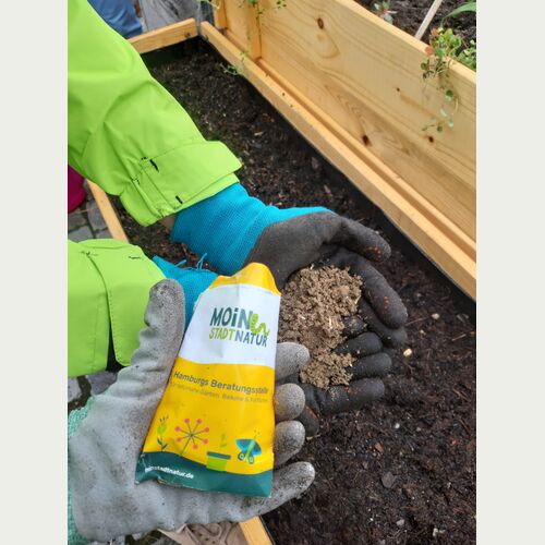 Die MOIN STADTNATUR Wildblumenmischung enthält 23 heimische Wildpflanzen_Foto Loki Schmidt Stiftung