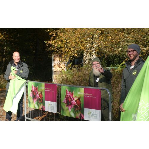 Die Blume des Jahres ist enthüllt! Axel Jahn, John Langley und André Palm präsentieren das Sumpf-Blutauge