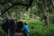 Naturführung im Vollhöfner Wald - Foto: Linus Koch